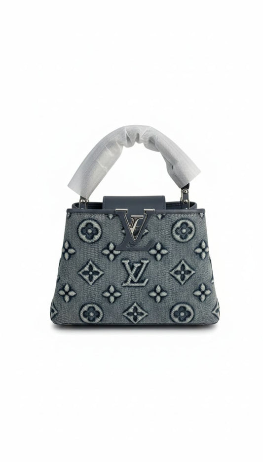 Louis Vuitton denim